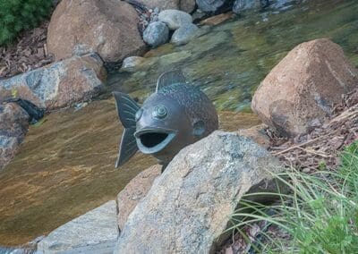 Southern Greenscapes Landscape Design & Construction | Rock Hill, SC | water features